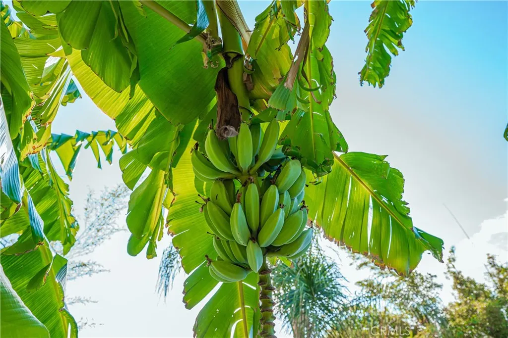 6580 Lake, Riverside, California 92503 home-pic-58